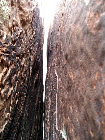 Enlarge photo 79