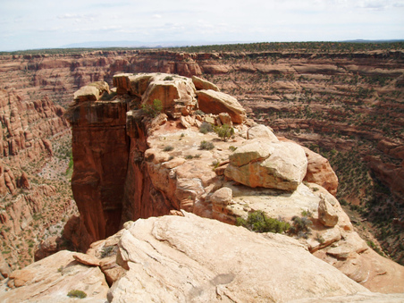 Enlarge photo 81