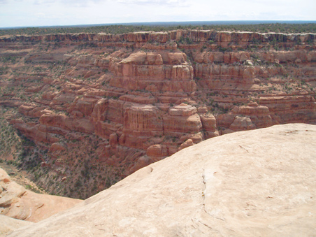 Enlarge photo 86