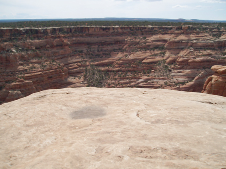 Enlarge photo 87