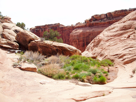 Enlarge photo 90