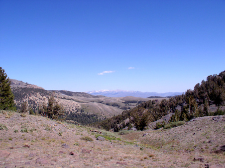 Enlarge photo 12