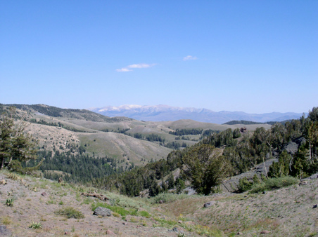 Enlarge photo 13