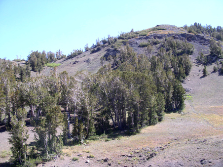 Enlarge photo 14