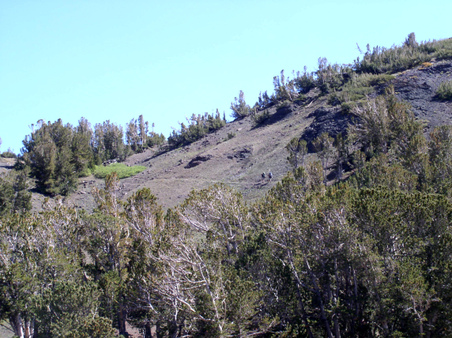 Enlarge photo 15