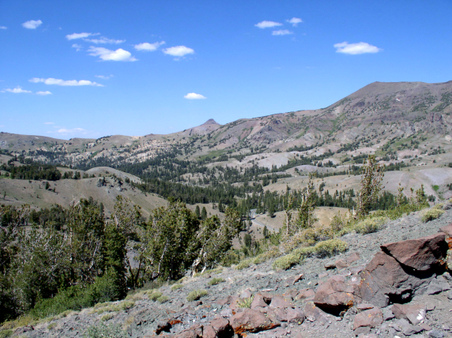 Enlarge photo 17