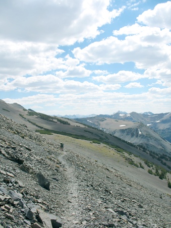 Enlarge photo 44