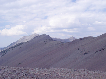 Enlarge photo 51