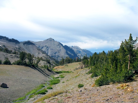 Enlarge photo 54