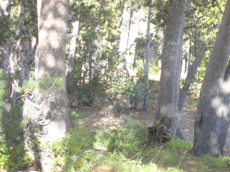 Enlarge photo 55