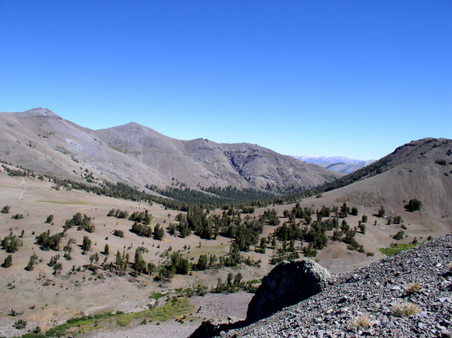 Enlarge photo 72