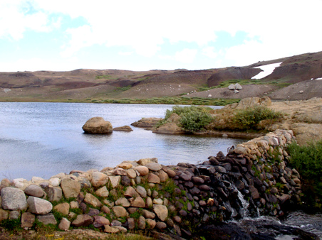 Enlarge photo 85