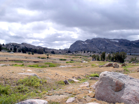 Enlarge photo 91