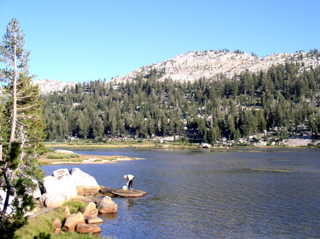 Enlarge photo 105