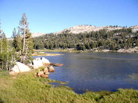 Enlarge photo 107