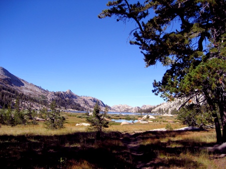 Enlarge photo 108