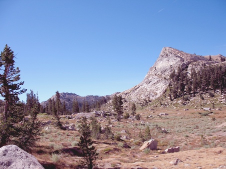 Enlarge photo 114