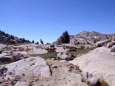 Enlarge photo 118