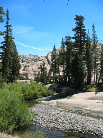 Enlarge photo 122