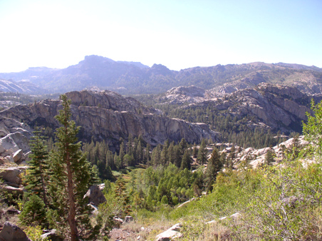 Enlarge photo 132