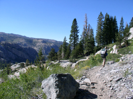Enlarge photo 135