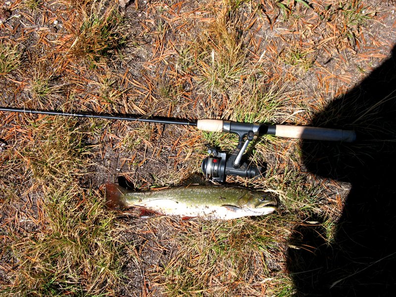 View Original Image