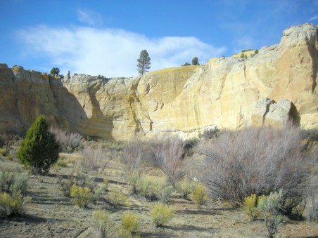Enlarge photo 18