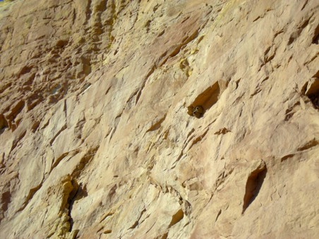 Enlarge photo 21