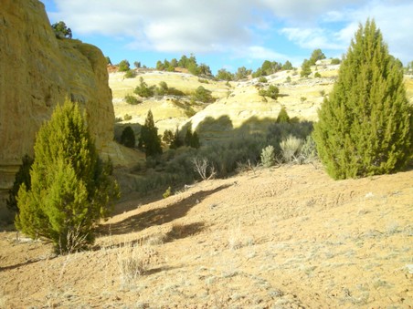 Enlarge photo 22
