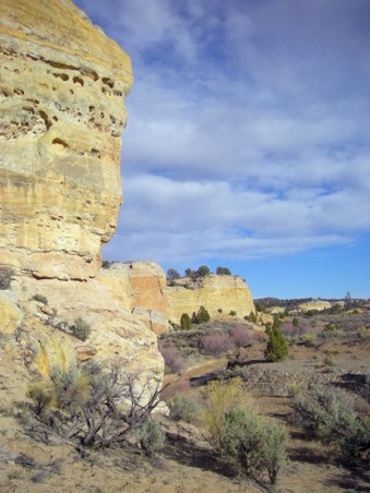Enlarge photo 23