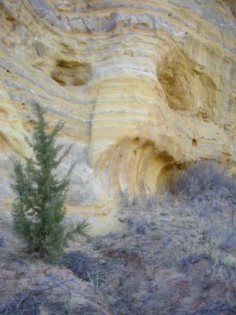 Enlarge photo 26