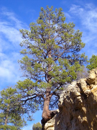 Enlarge photo 28