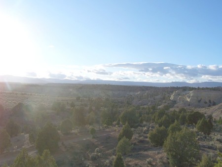 Enlarge photo 30