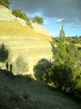 Enlarge photo 35