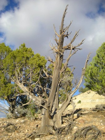 Enlarge photo 36