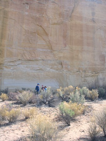 Enlarge photo 39