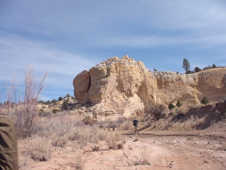 Enlarge photo 43