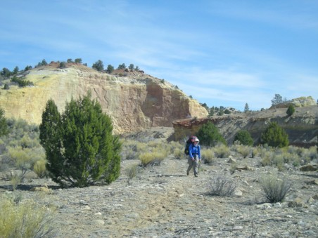 Enlarge photo 47
