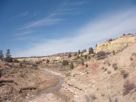 Enlarge photo 49