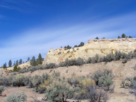 Enlarge photo 54
