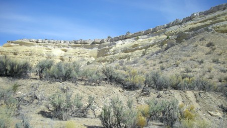 Enlarge photo 52