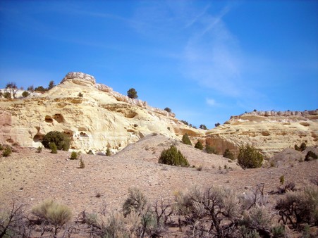 Enlarge photo 53