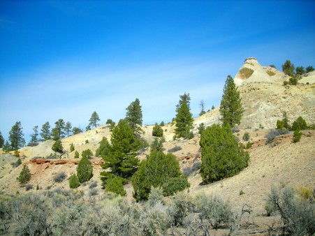 Enlarge photo 56