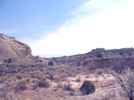 Enlarge photo 57