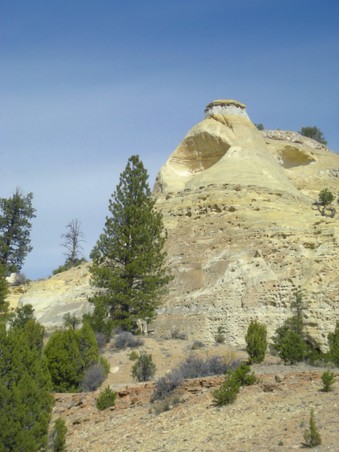 Enlarge photo 62