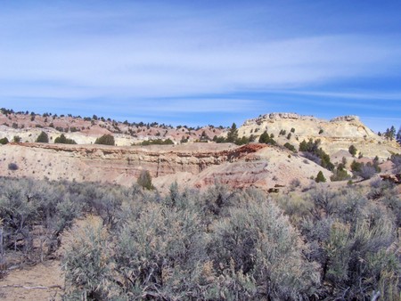 Enlarge photo 67