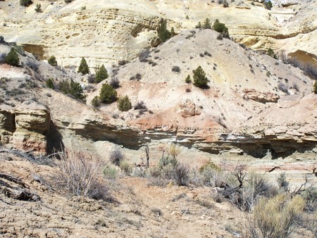 Enlarge photo 83