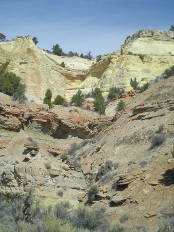 Enlarge photo 84