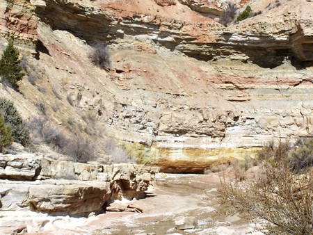 Enlarge photo 85
