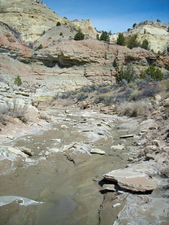 Enlarge photo 86